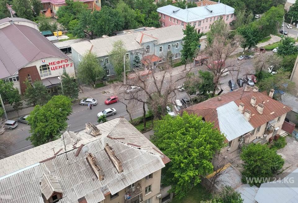 Аварийные деревья