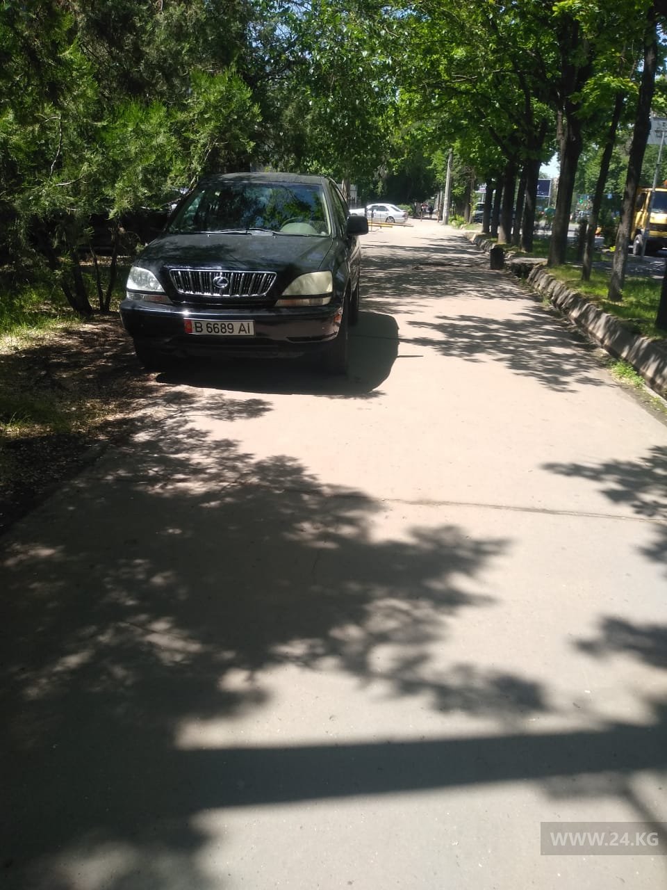 Чудаки парковки