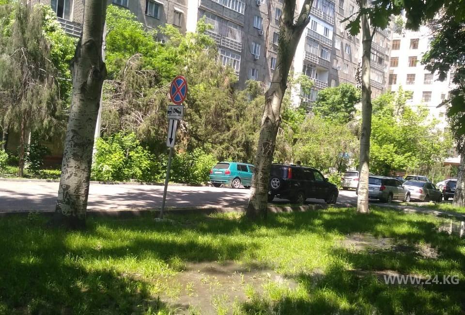 Чудаки парковки