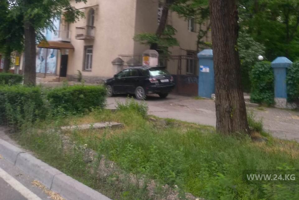 Чудаки парковки