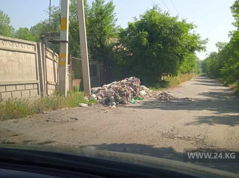 Свалка мусора