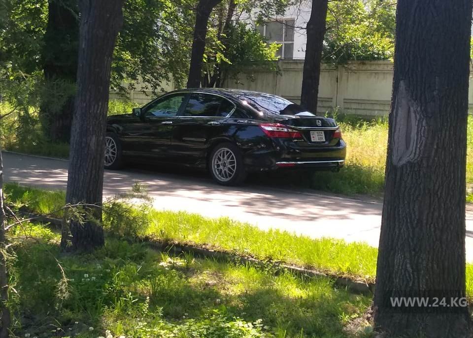 Чудаки парковки