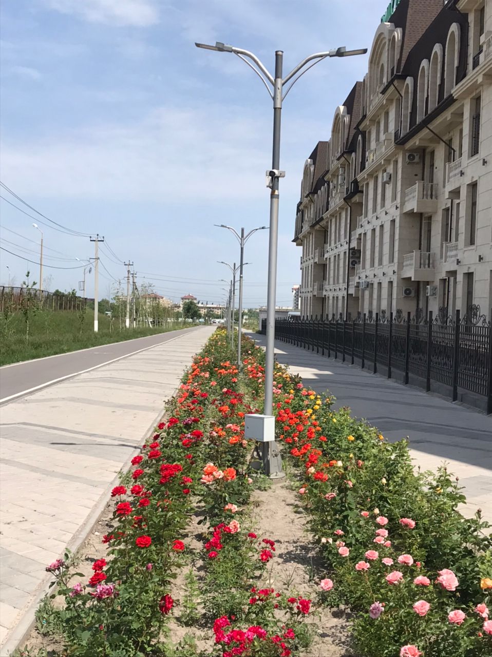 Клумбы