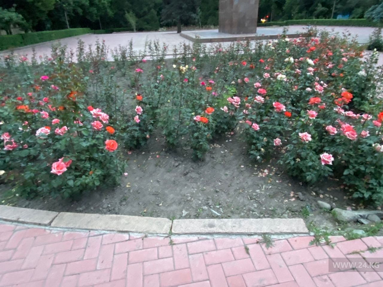 Клумбы в Бишкеке