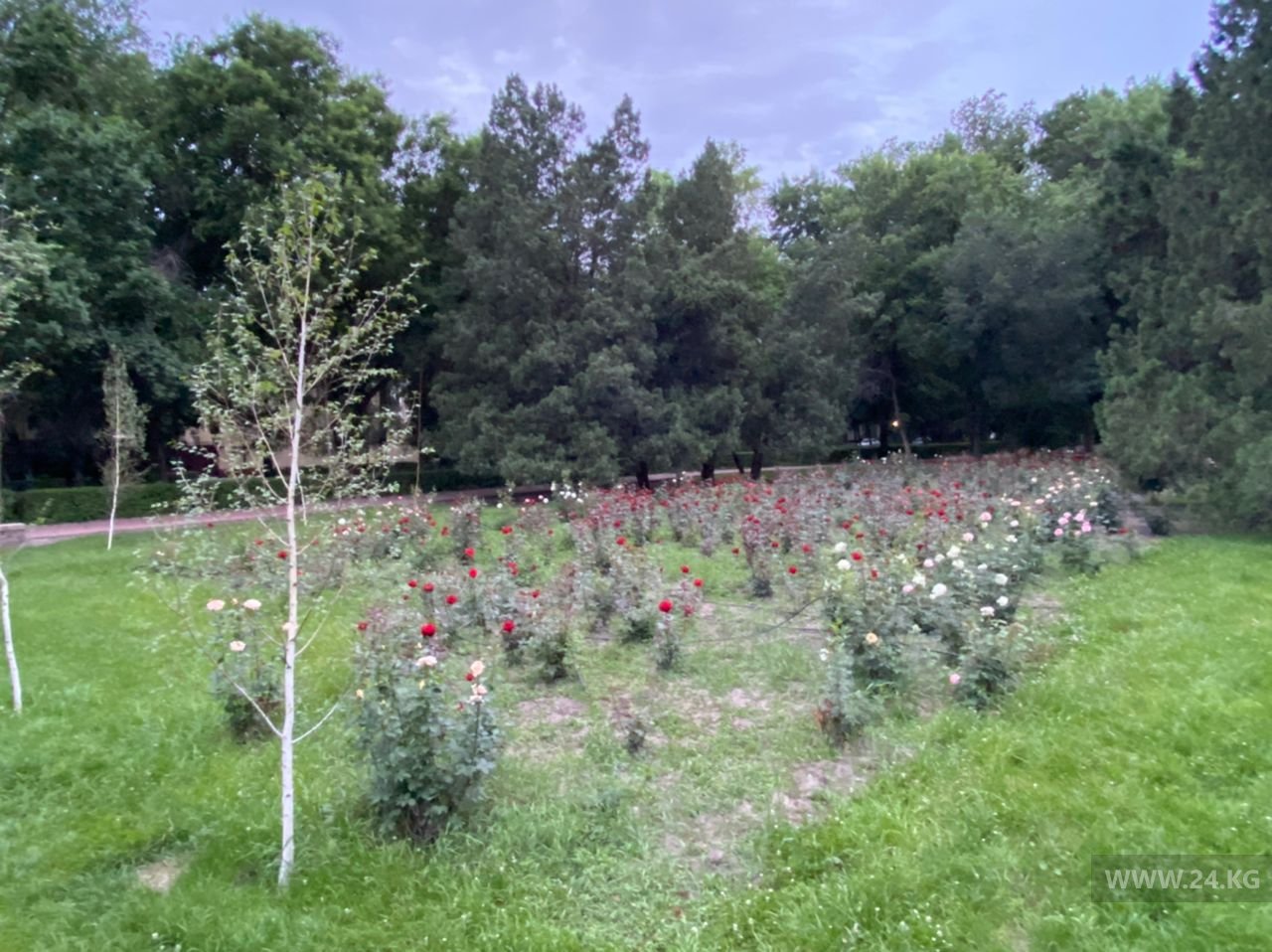 Клумбы в Бишкеке