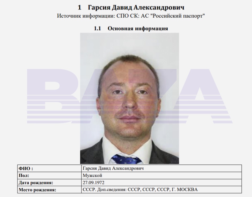 Выписка из системы «Российский паспорт»