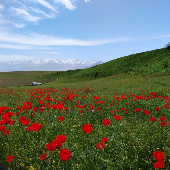 Село Орто-Сай, май 2022 года