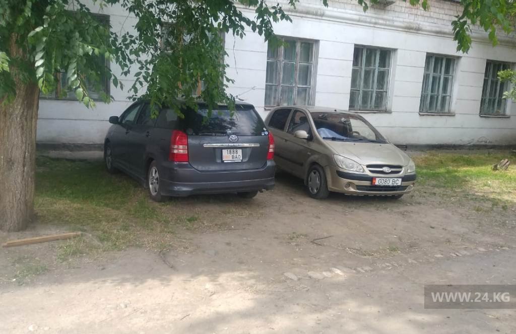 Чудаки парковки