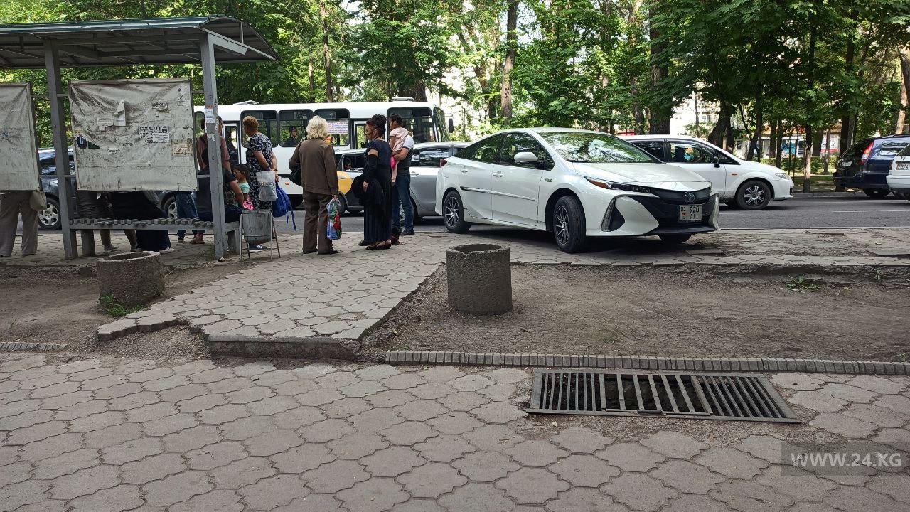 Чудаки парковки