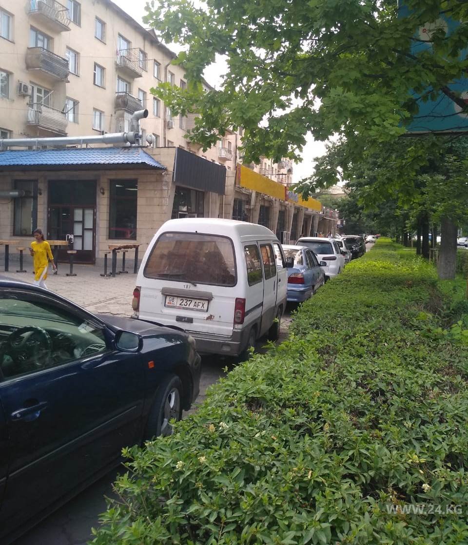Чудаки парковки