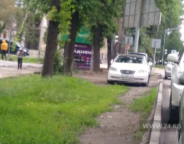 Чудаки парковки