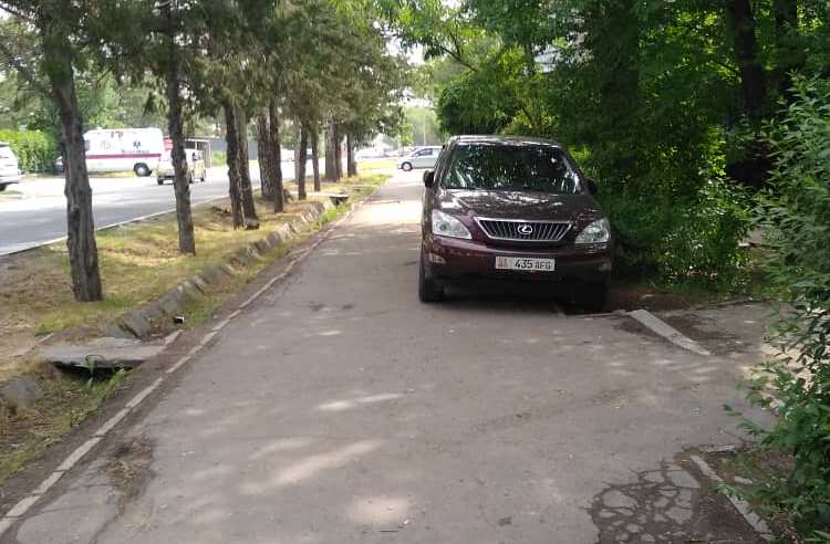 Чудаки парковки