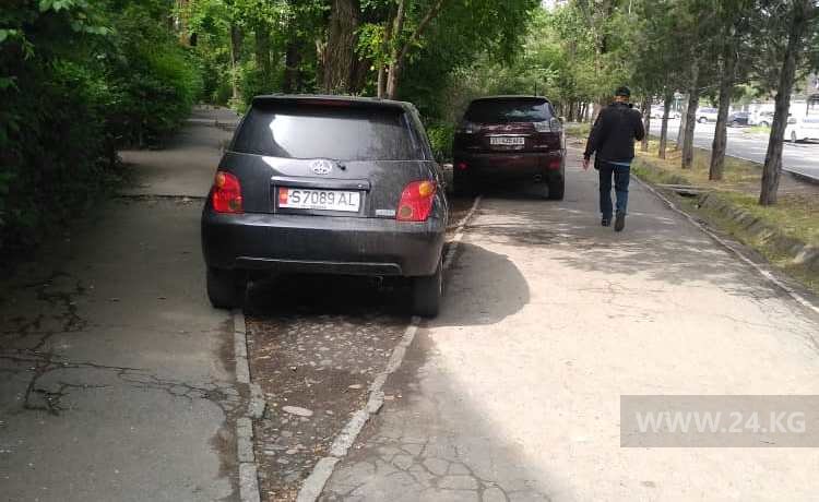 Чудаки парковки