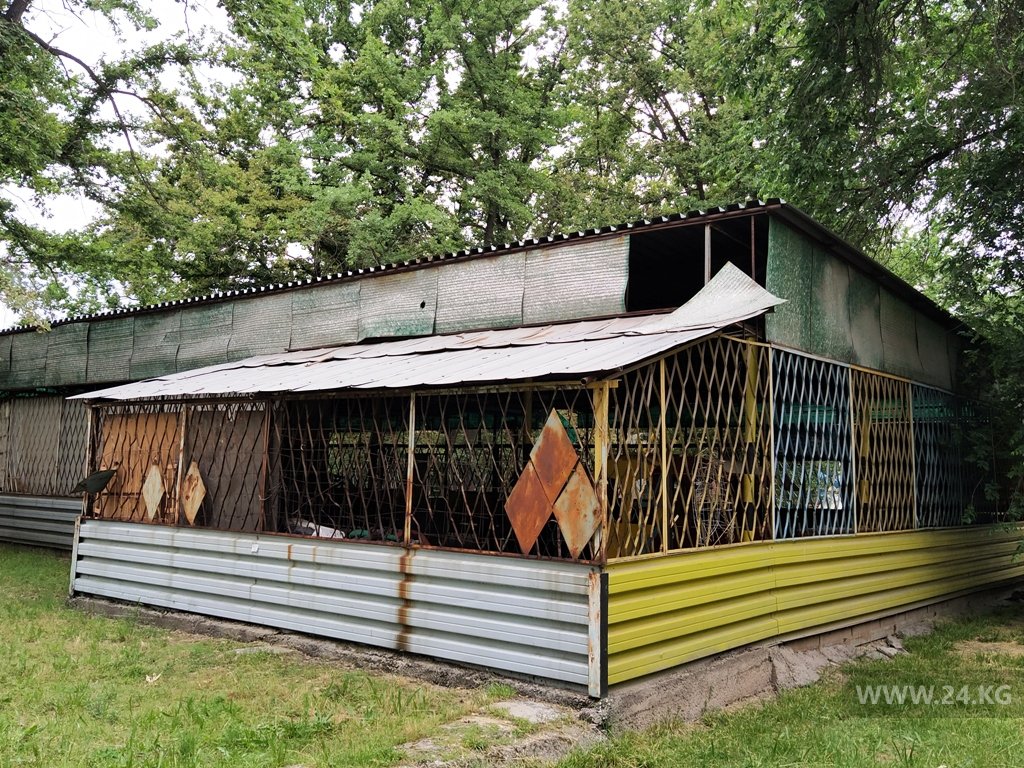 Заброшенный аттракцион в парке имени Ататюрка