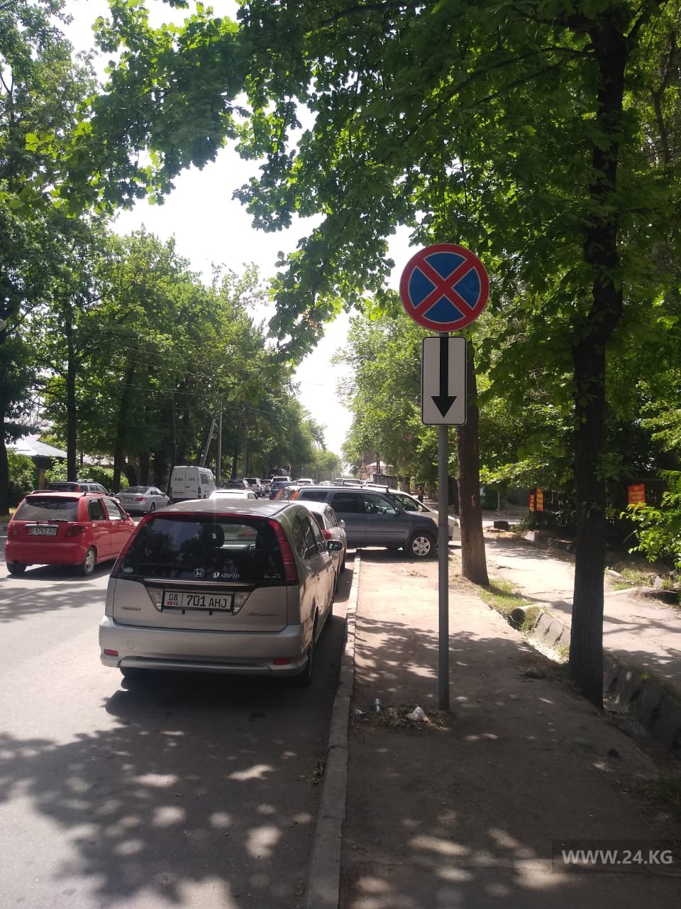 Чудаки парковки