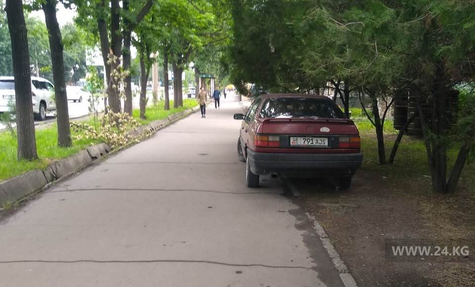 Чудаки парковки