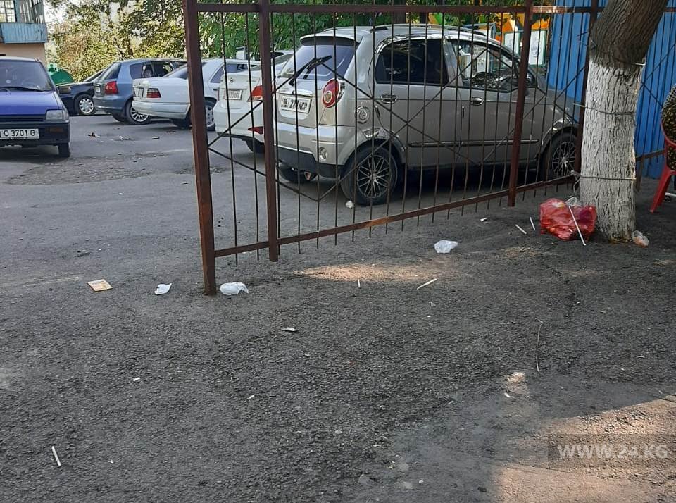 В парке Узгена