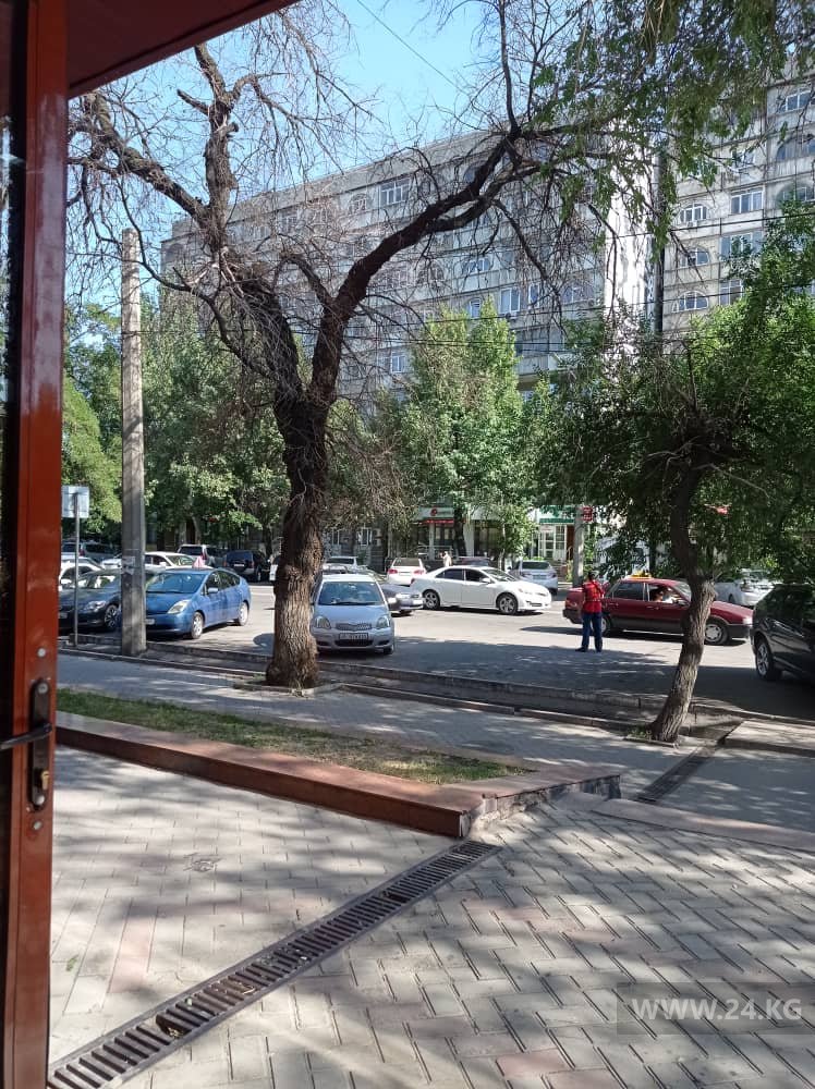 Сухое дерево