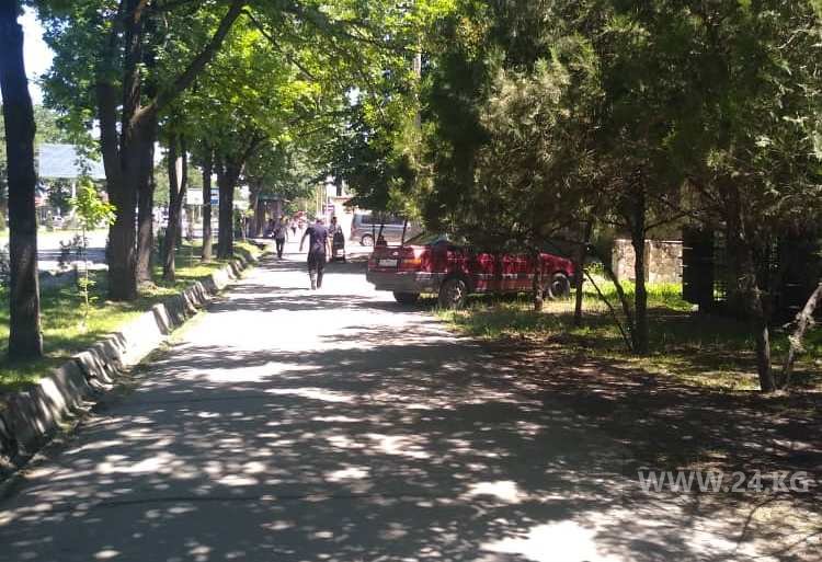 Чудаки парковки