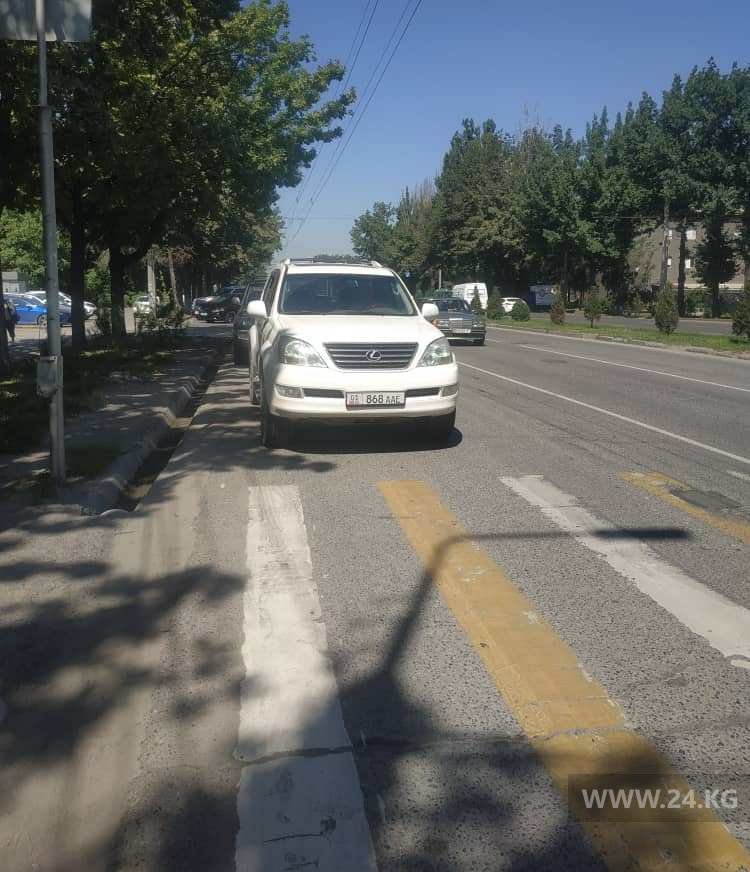 Чудаки парковки