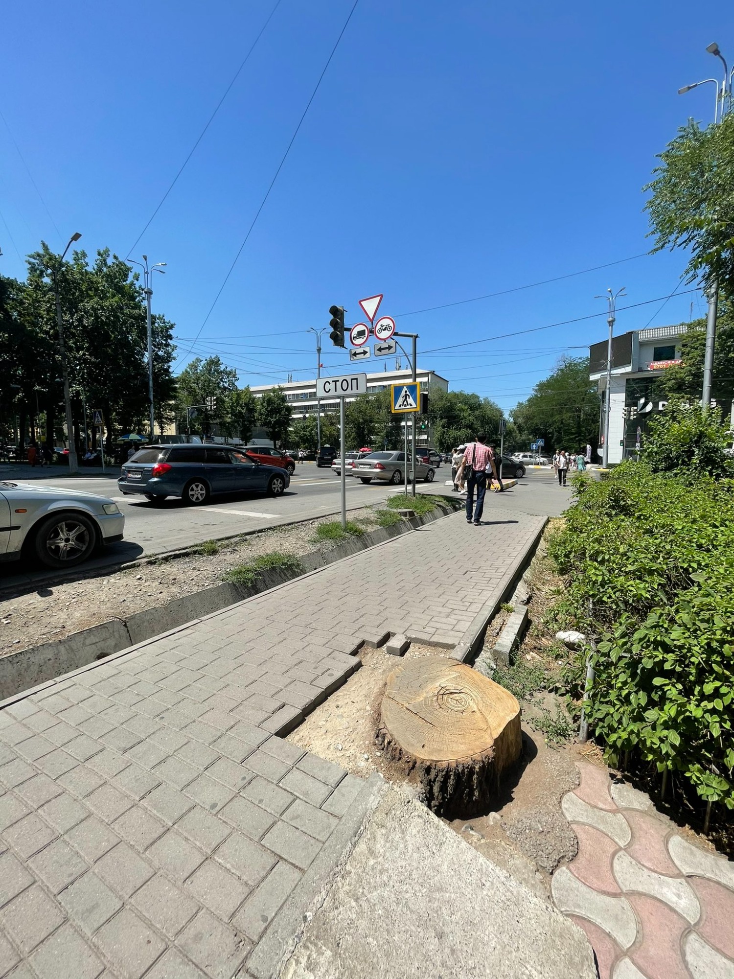 На нескольких улицах Бишкека вырубают деревья