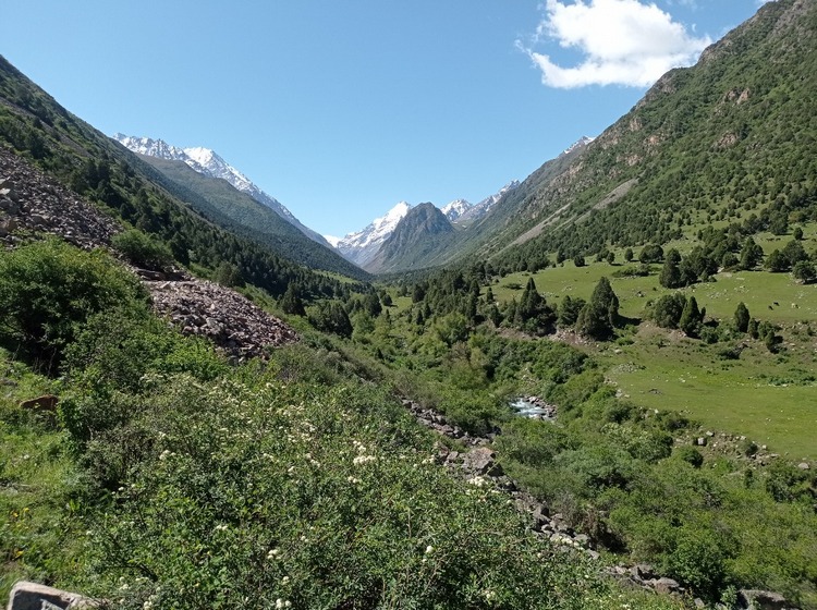 Аламединское ущелье