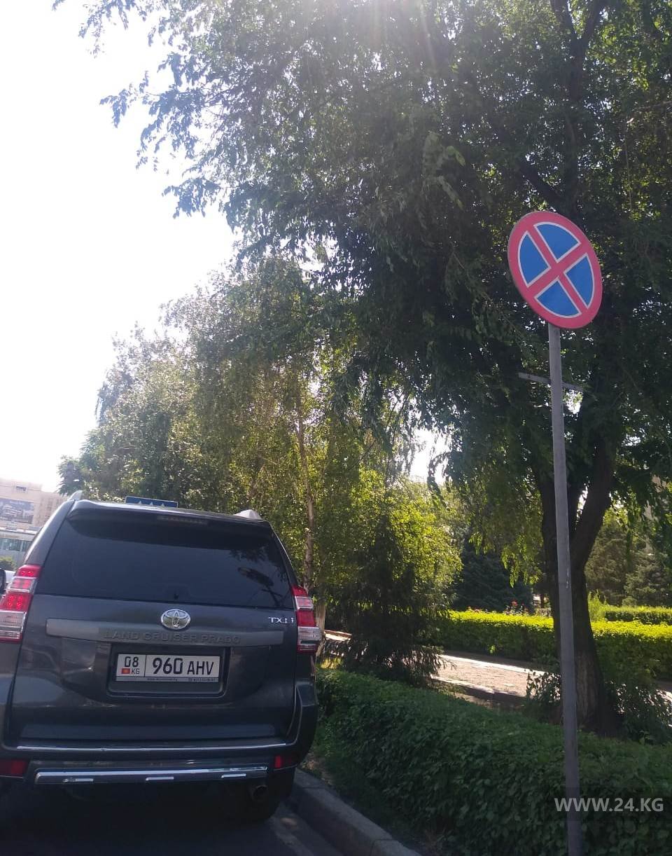 Чудаки парковки