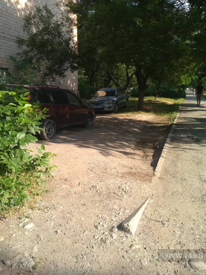 Чудаки парковки