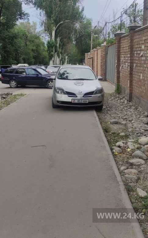 Чудаки парковки