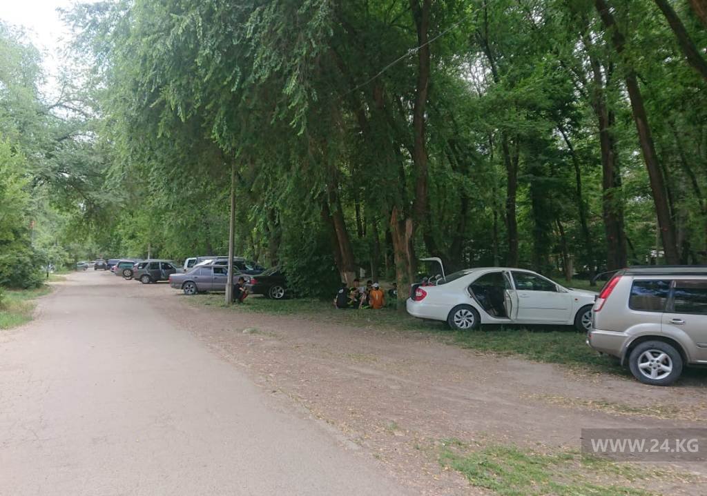 Чудаки парковки