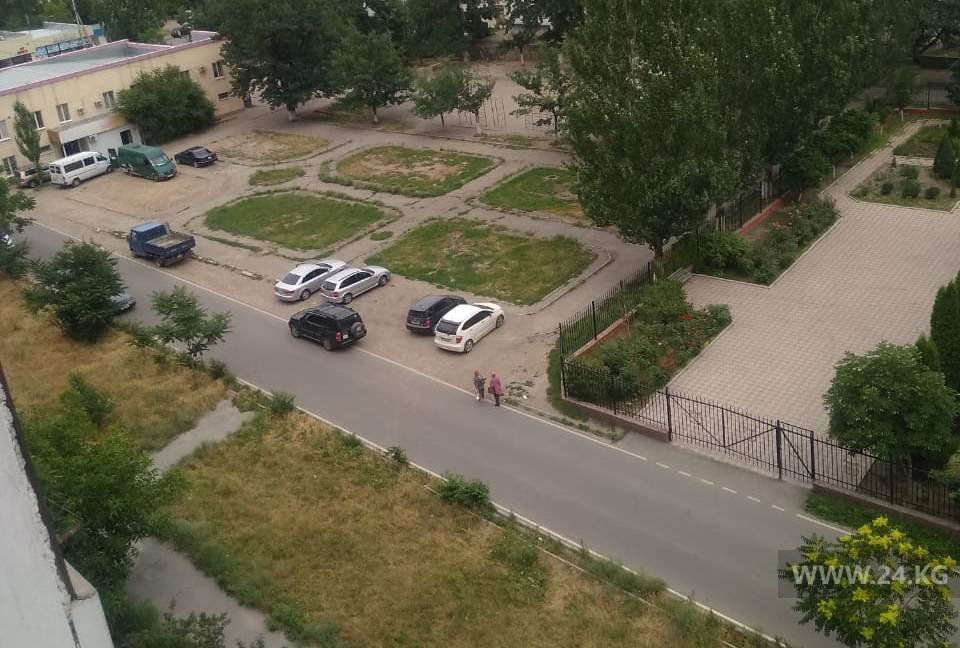 Чудаки парковки