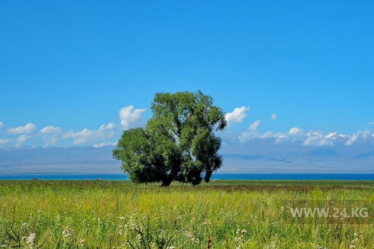 Выставка работ фотографа и эко-активиста Влада Ушакова
