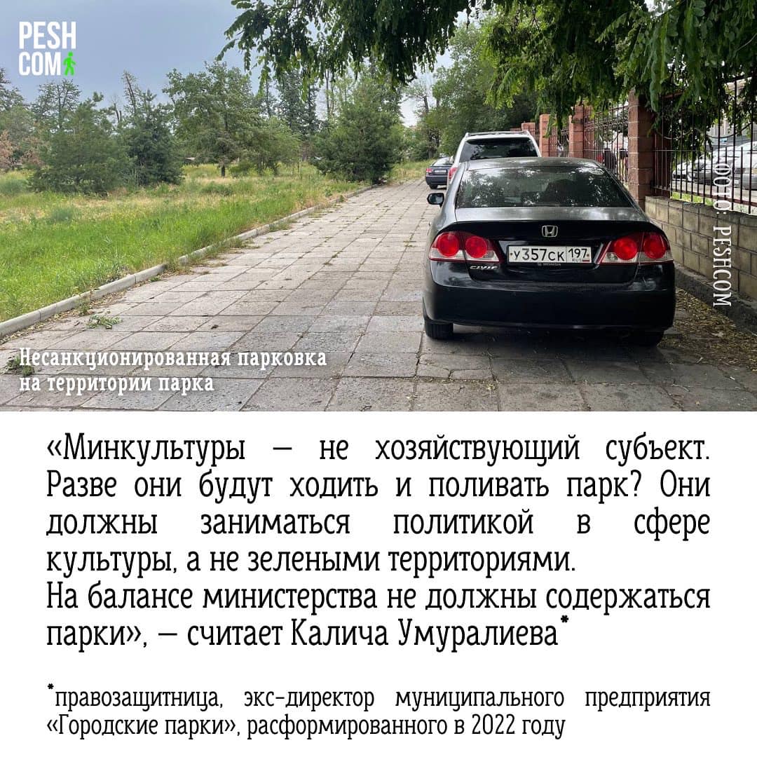 Презентация инициативы Peshcom