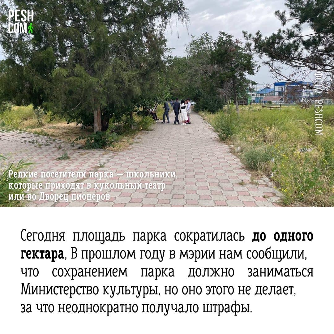 Презентация инициативы Peshcom