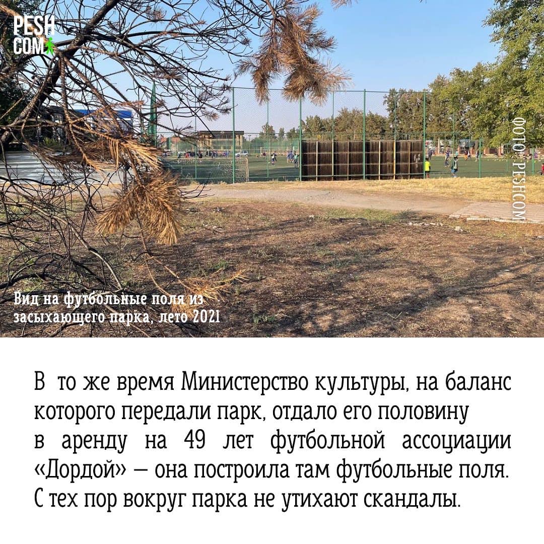 Презентация инициативы Peshcom