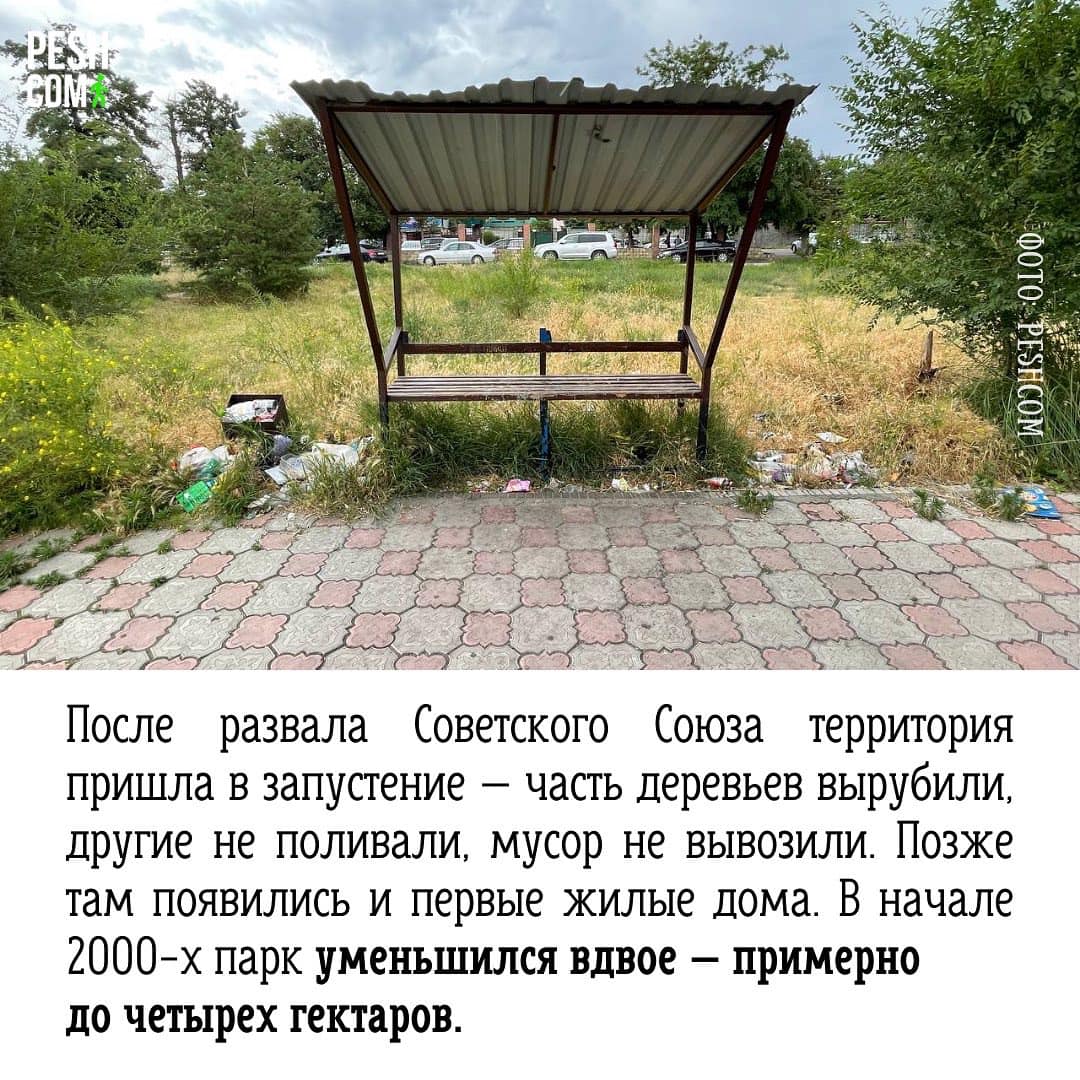 Презентация инициативы Peshcom
