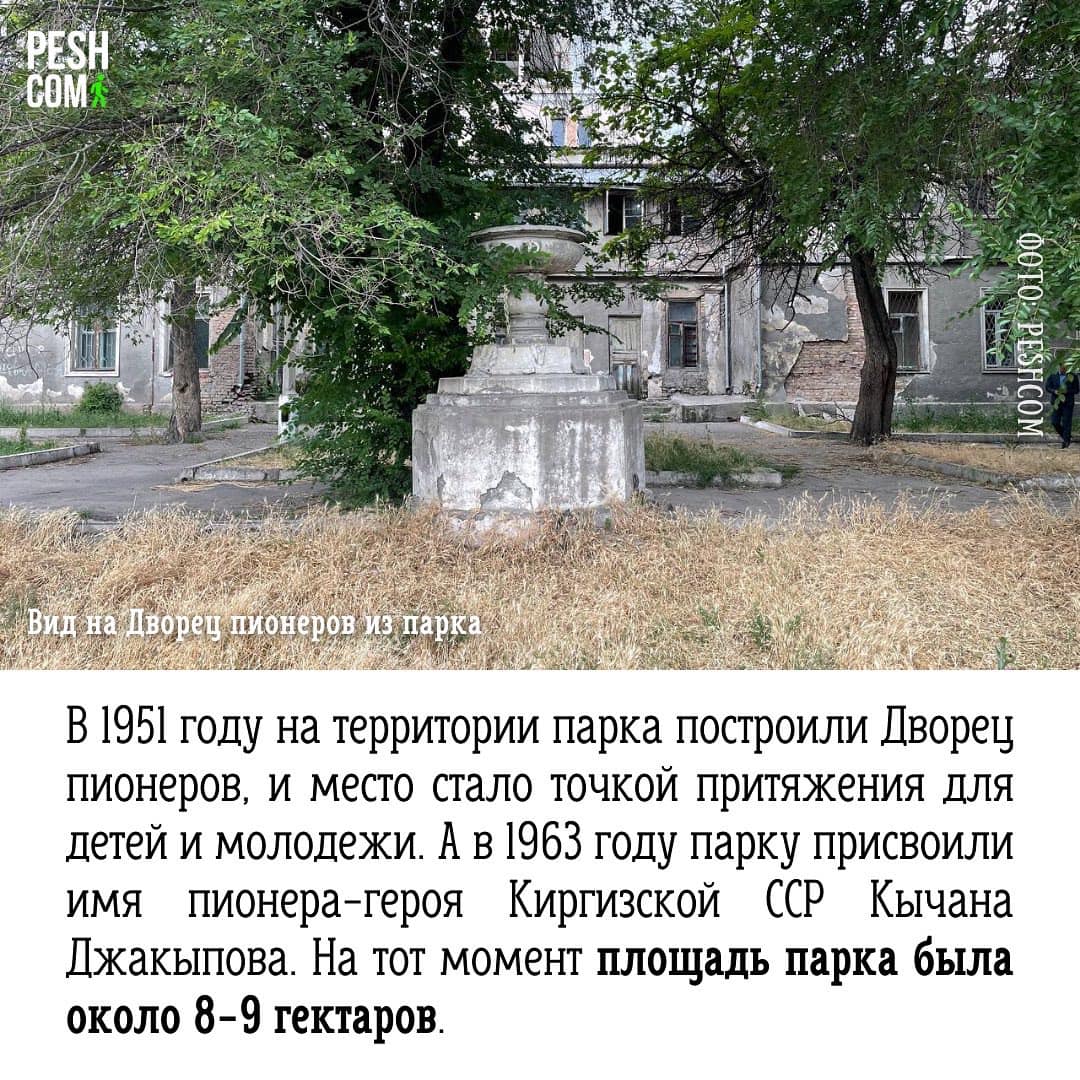 Презентация инициативы Peshcom