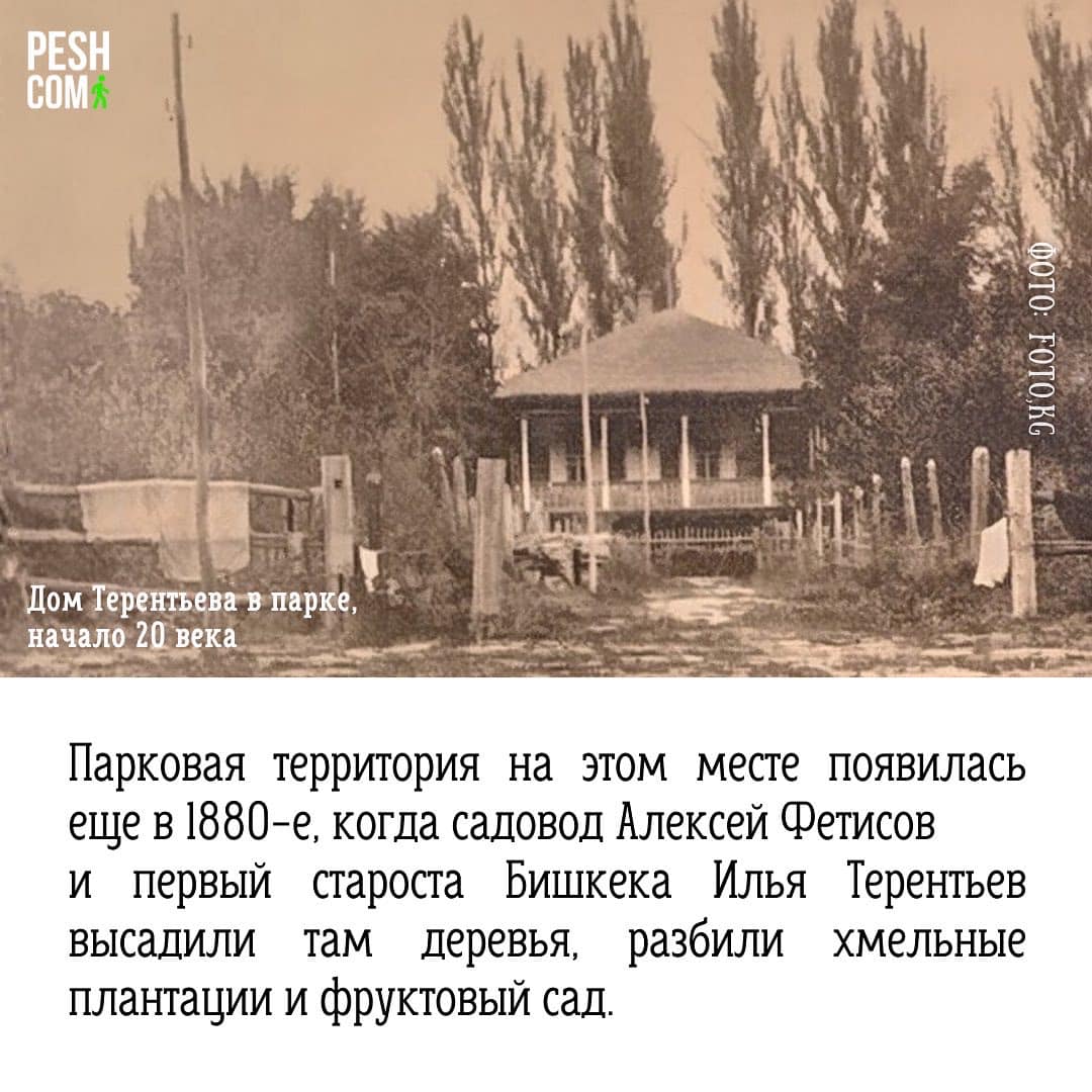Презентация инициативы Peshcom