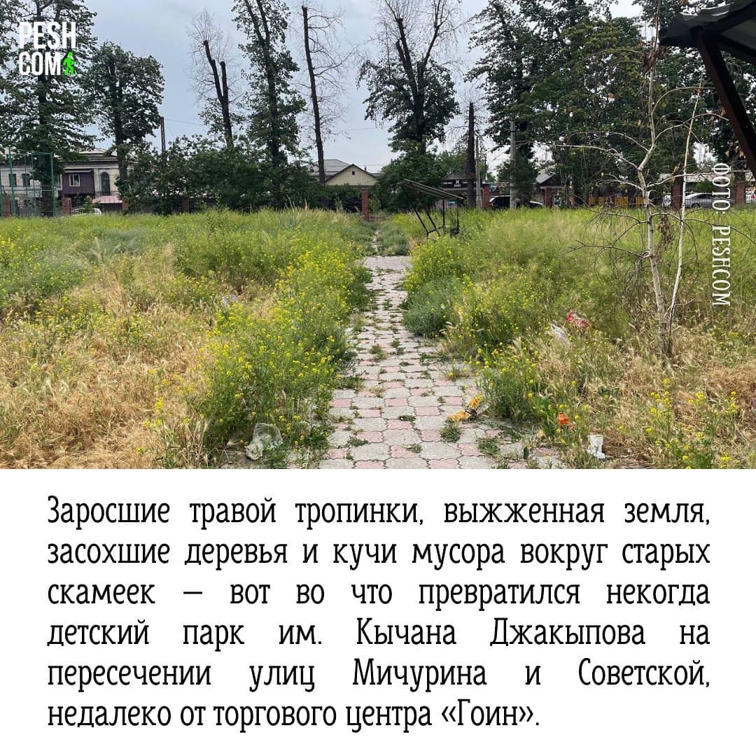 Презентация инициативы Peshcom
