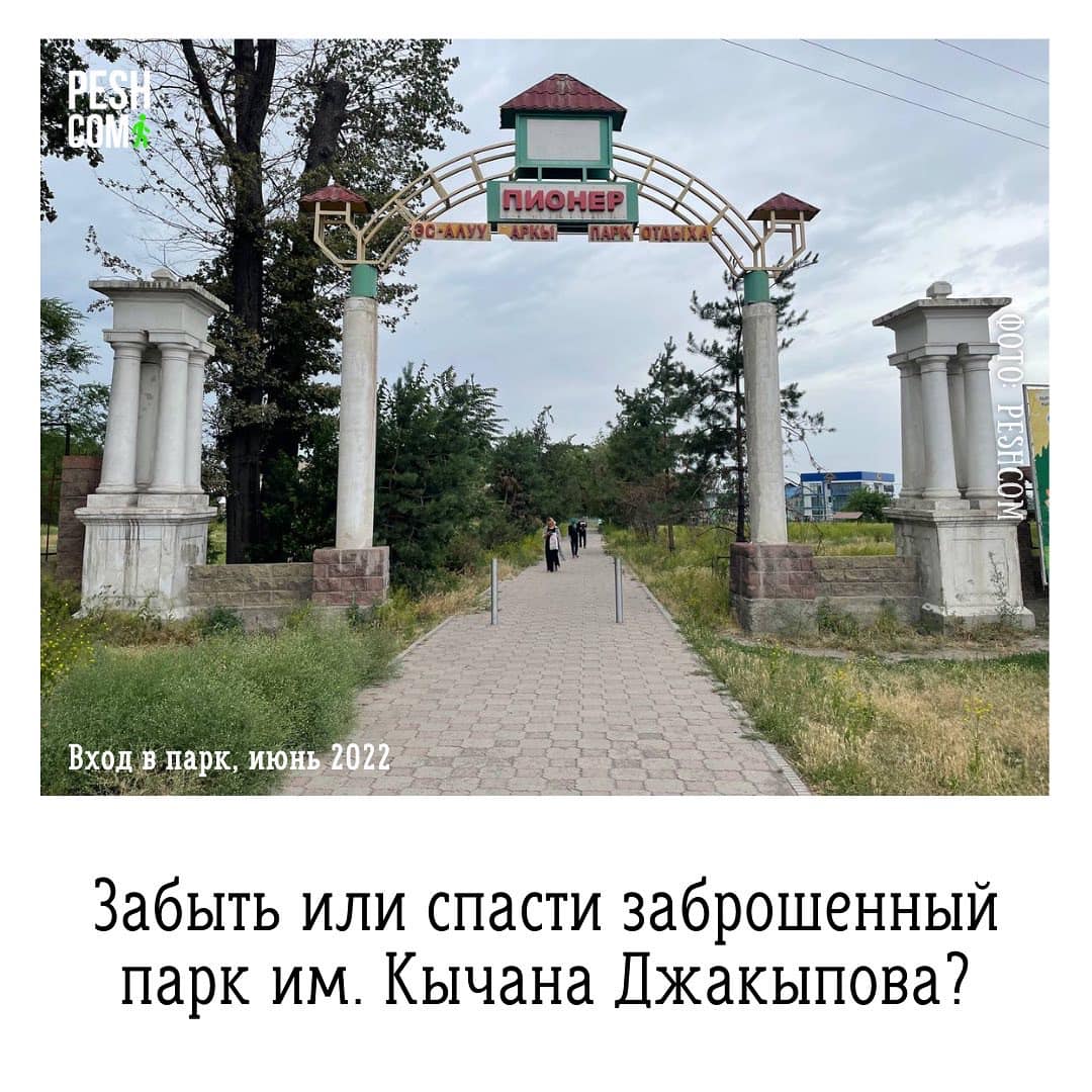 Презентация инициативы Peshcom