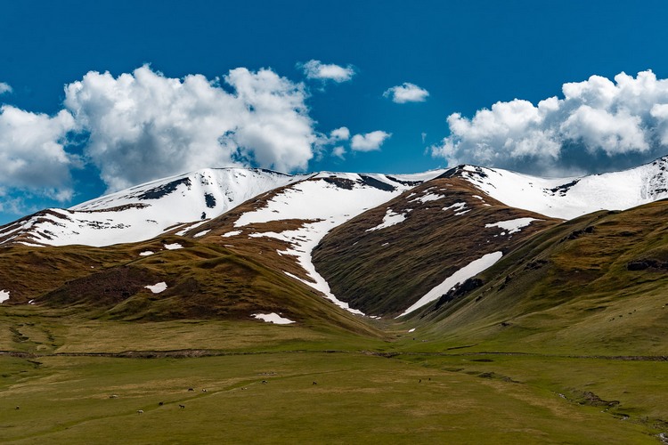 Перевал Долон, Нарын, май 2022 года