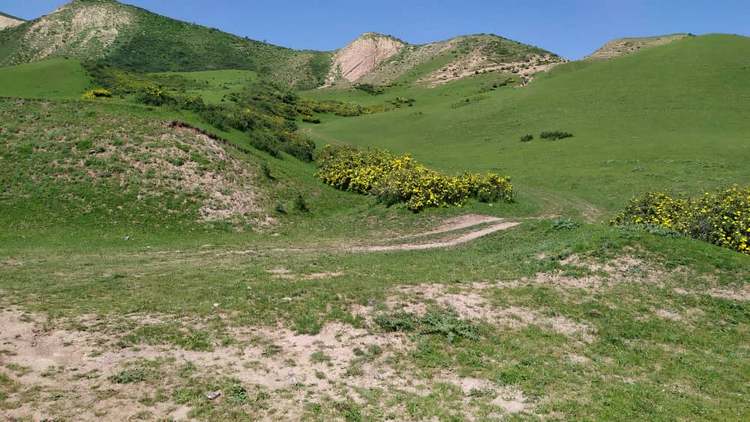 Кегетинское ущелье, май 2022 года