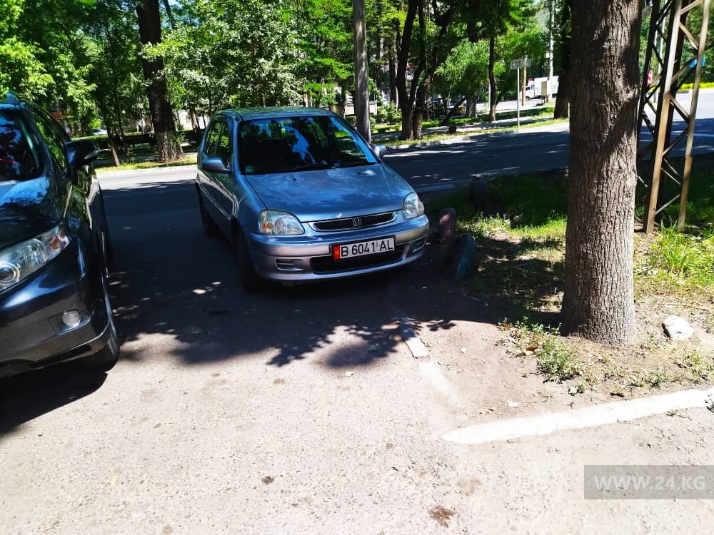 Чудаки парковки