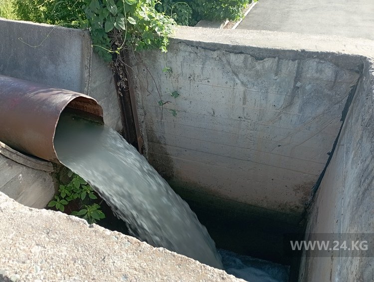Колодец, через который вода подает в Ботсад, никак не огорожен