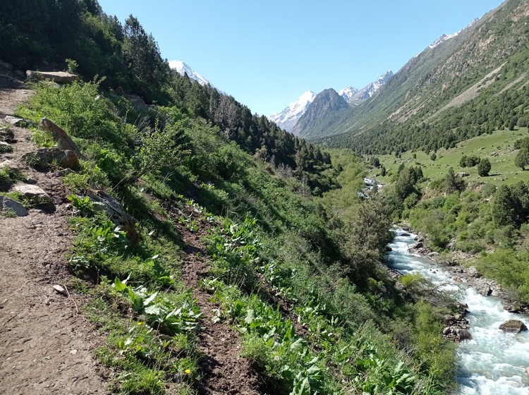 Аламединское ущелье