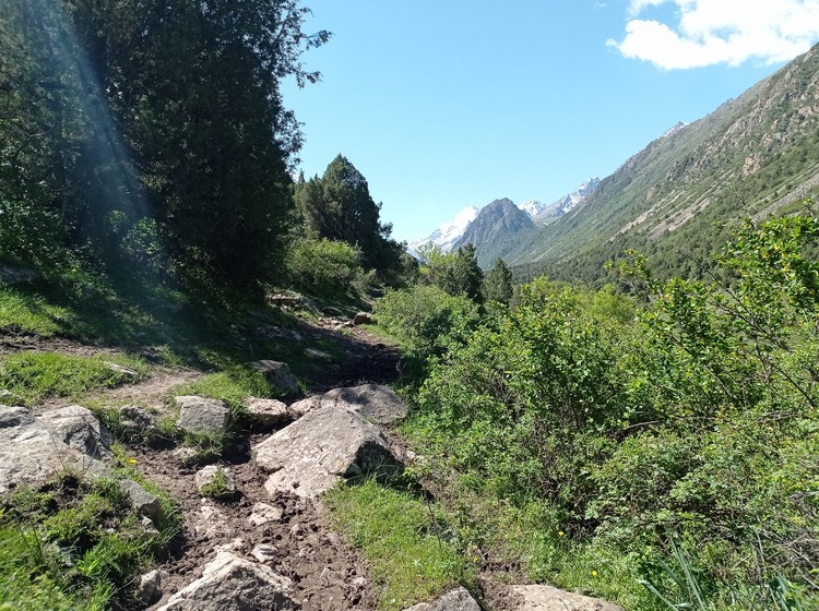 Аламединское ущелье