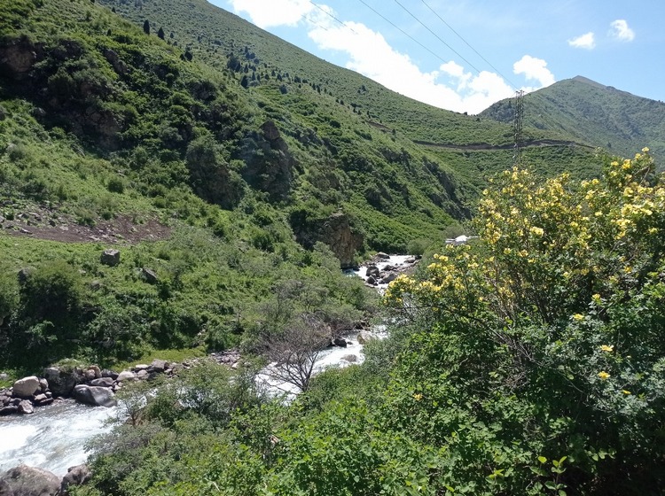 Аламединское ущелье