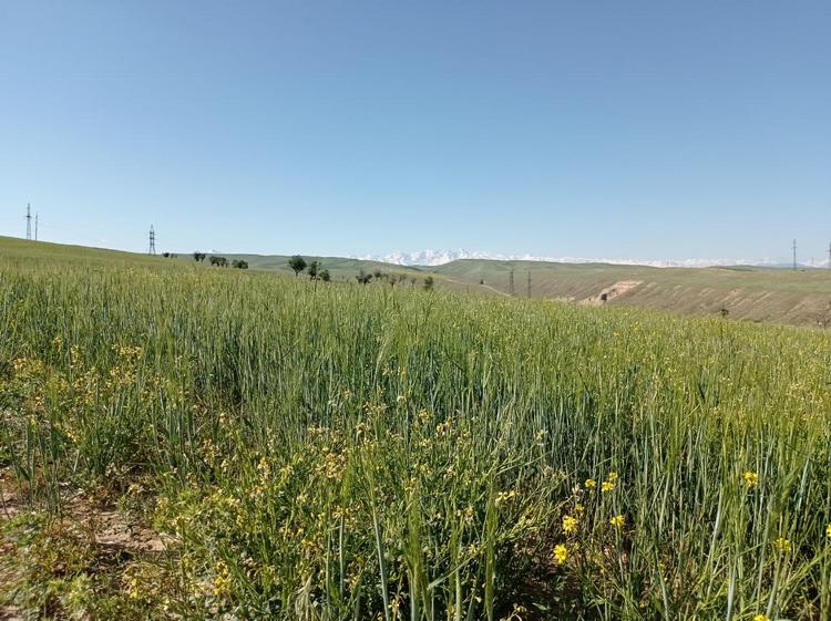 На окраине города Ош