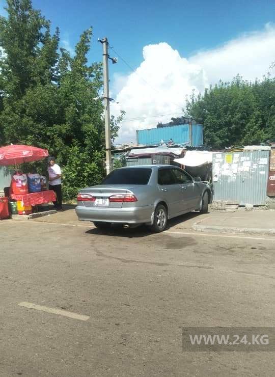 Чудаки парковки