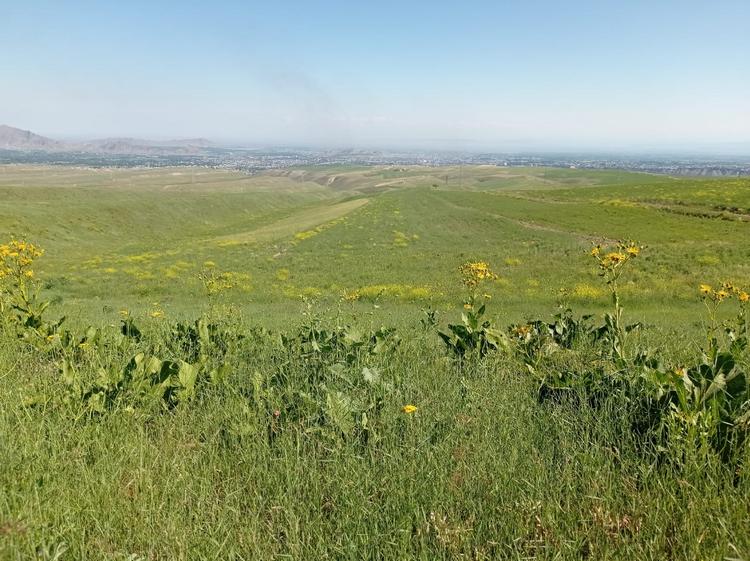 На окраине Оша